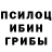Псилоцибиновые грибы Psilocybe dariana.